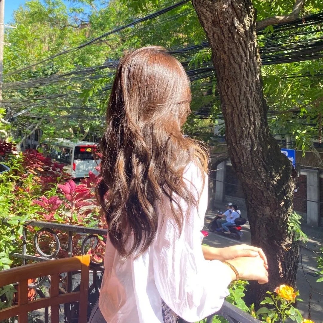 莲花仙子