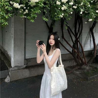 尚迪戈尔的陌生人